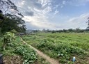 龍潭區-土地，11821坪