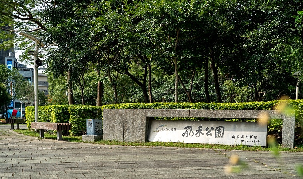 照片