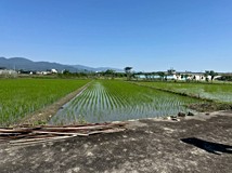 三星鄉大坑段稀有大坪數農地..