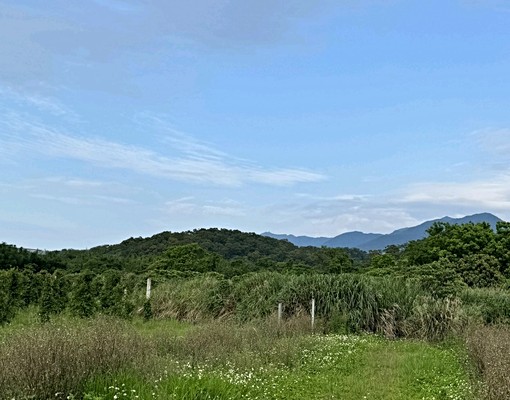 淡海新市鎮二期ㄧ區林子段土地