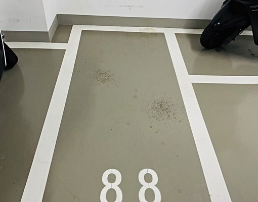 ~5年屋、不二價~文藻大學美2房(不含管理費) - Image 8