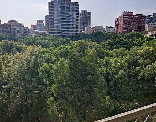 天和公園榕榕園 - Image 2