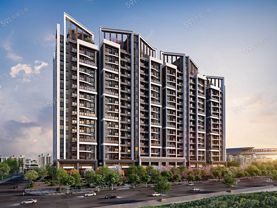 櫻花大綻封面圖