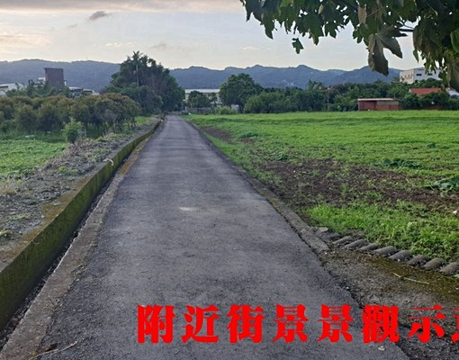柑園東園段有路土地K538中信鄭亦晴