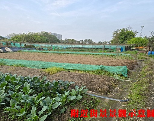 物件圖片