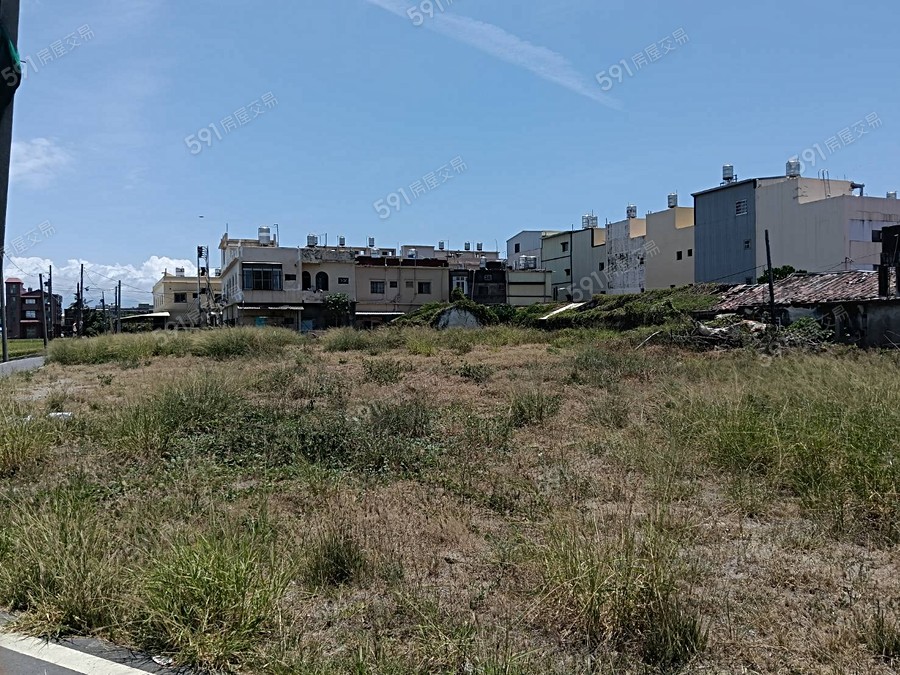 龍歡喜No.2實景圖