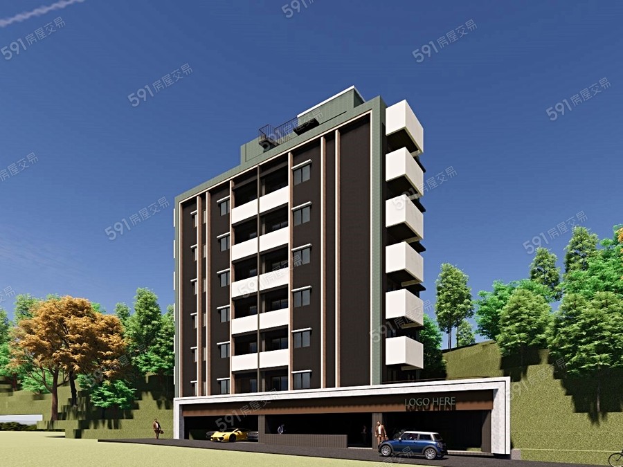 大華一號封面圖