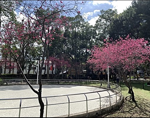 劍潭雅房-英業達,新光,北藝,陽明,北士科(對客廳氣窗) - Image 10