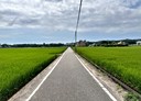 竹南鎮-土地，904.5坪