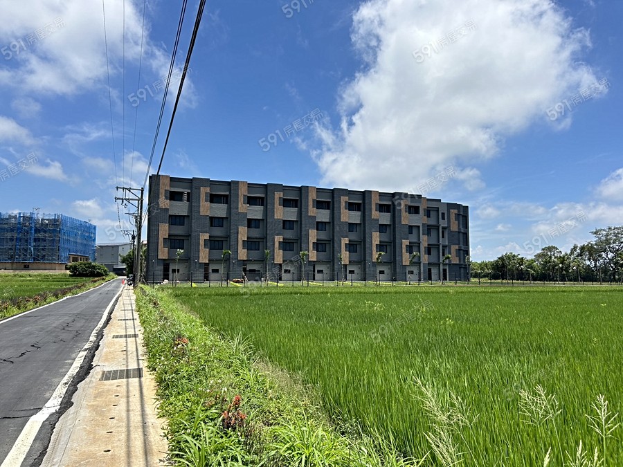 椰林大院實景圖