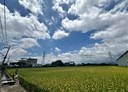 烏日區-土地，675.8坪