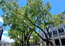 屏東市-太原一路4房3廳，36坪