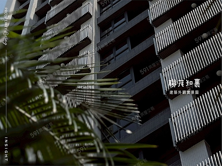 聯茂知裏實景圖