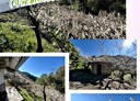 東勢區-大茅埔段土地，3595.5坪