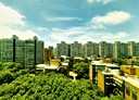 林口區-麗園二街3房2廳，50坪