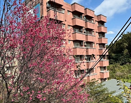 桃園銘傳大學校門口正對面優質套房,CP值最高! - Image 2