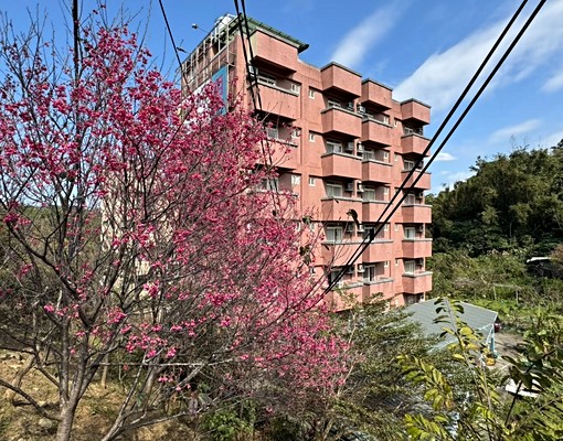 桃園銘傳大學校門口正對面優質套房,CP值最高! - Image 1
