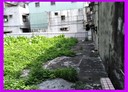 新莊區-土地，33.1坪