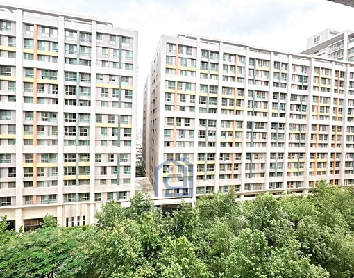 關新楓香大道4改3平車 - Image 15