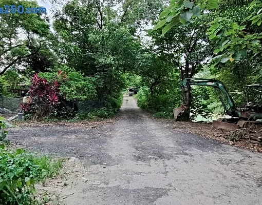 專約📢擬定泰山都市計畫（楓江附近地區)｜千萬經紀人員小蘇