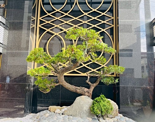 【土帝公社宅】善化近南科雙衛浴含車位2房可租補 - Image 11