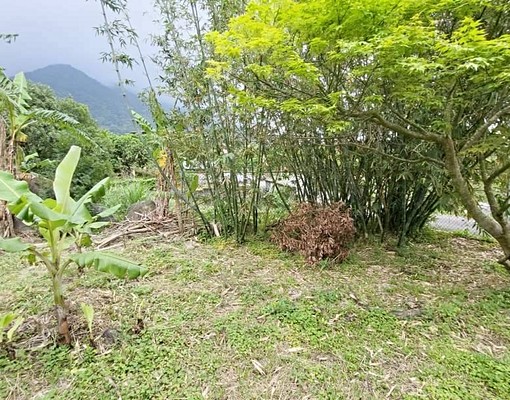 物件圖片
