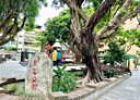 信義區-和平東路三段3房2廳，20.3坪