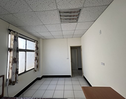 真正讚!亮麗陽光公寓兩房屋 - Image 4