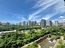 沙崙路一段126巷🍎蒙德里安..