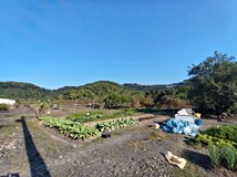 大進低總綱剛好足坪美農地