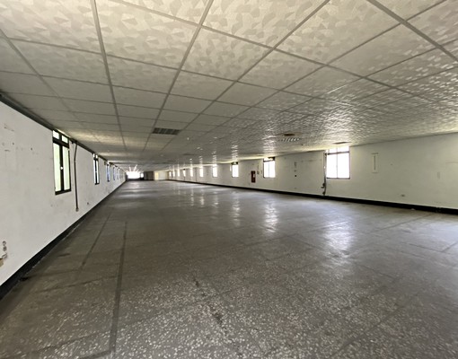 【竹南甲種工業地｜大坪數廠房出租】 - Image 3