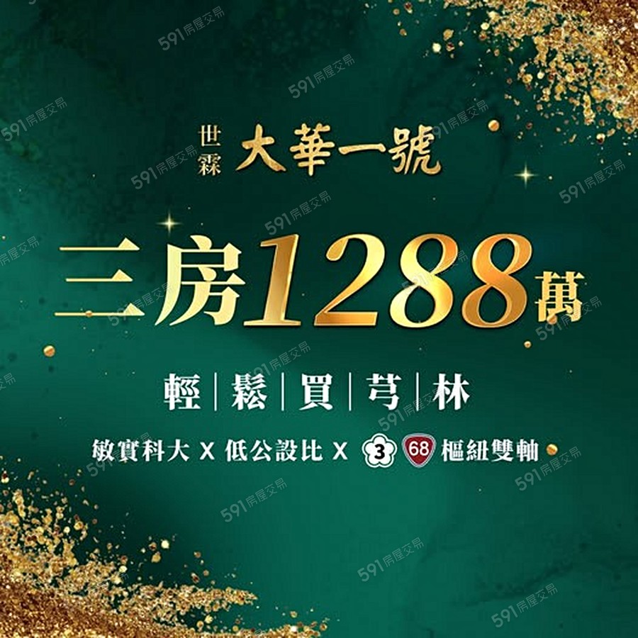 大華一號宣傳圖