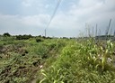 高樹鄉-土地，1532.4坪