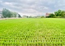員山鄉-土地，874.7坪