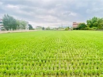 員山稀有深洲大道足坪方正美..