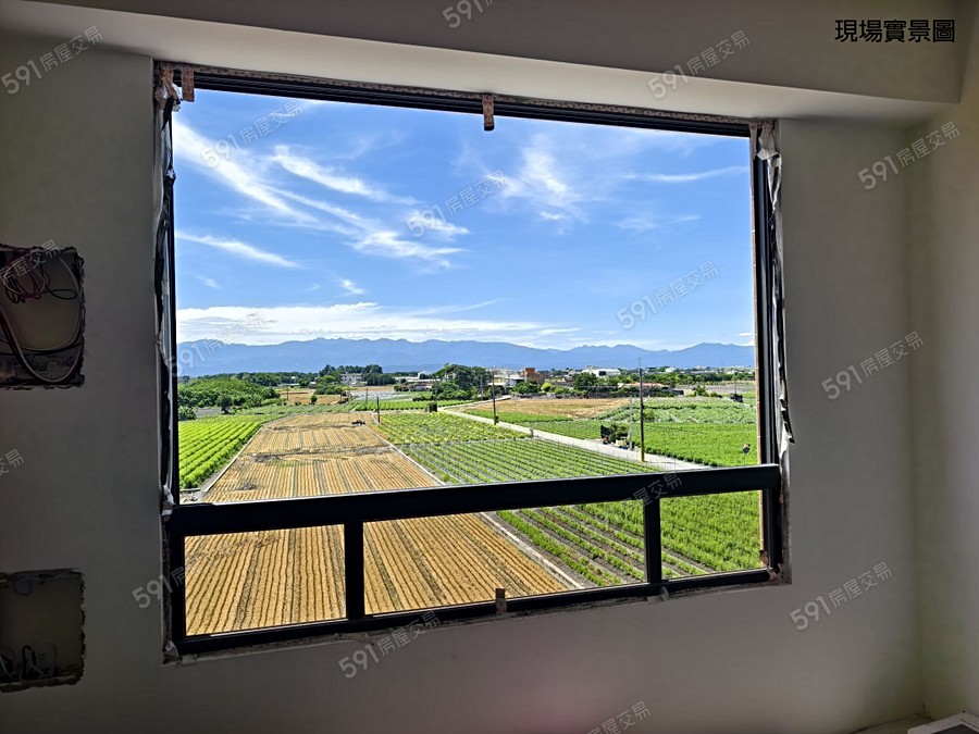 稻禾•醇靜實景圖