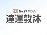 宣傳圖(1)