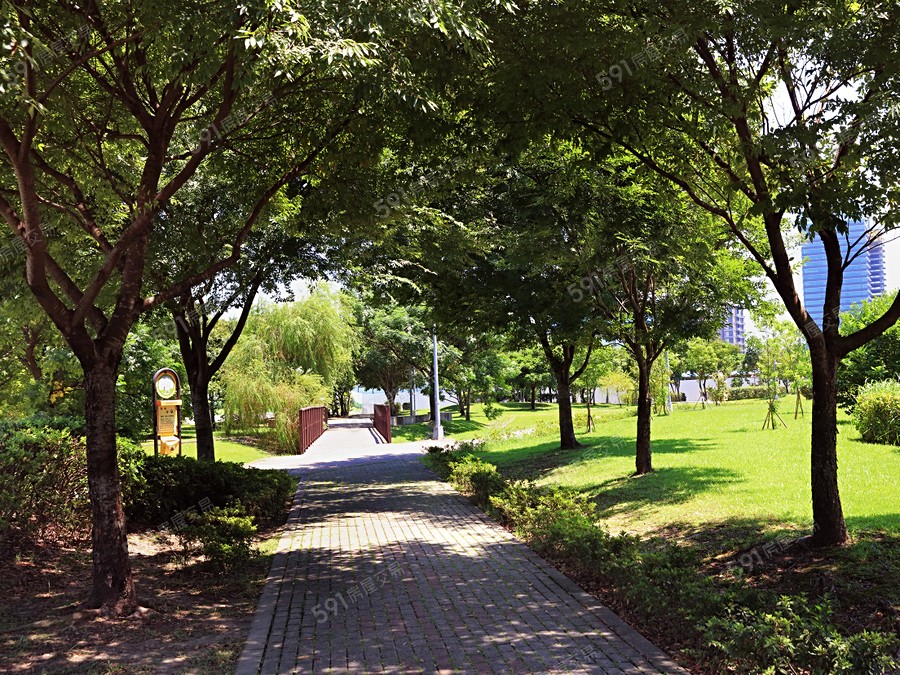 南港國際SKY PARK環境圖