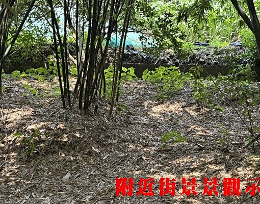 物件圖片