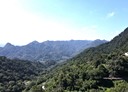 公館鄉-福基段土地，419坪