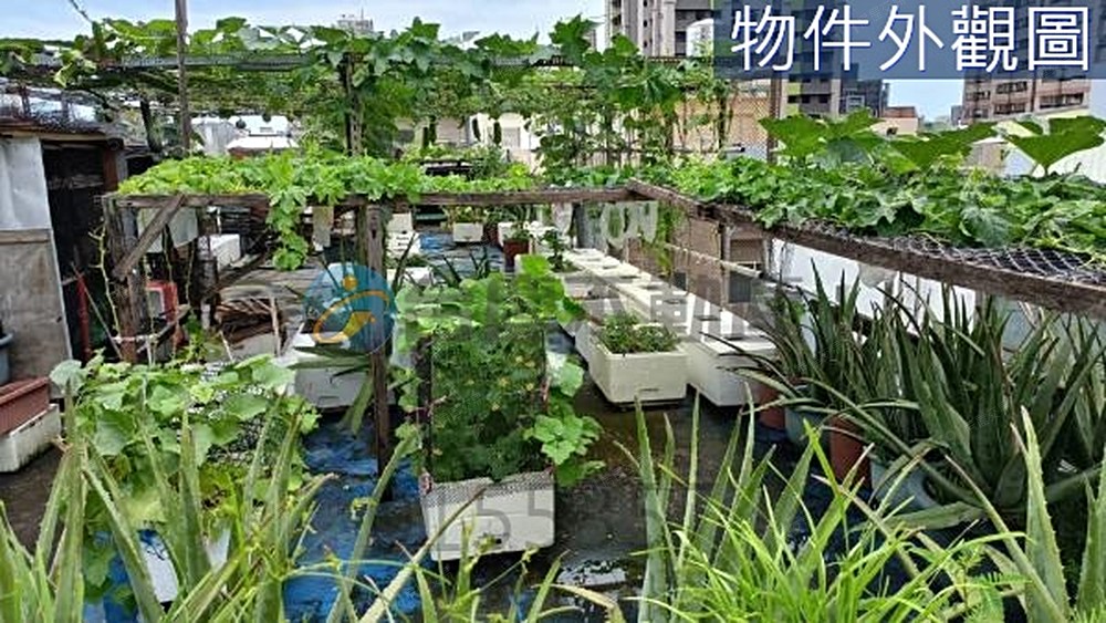 房屋圖片