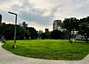 板橋區-國泰街3房2廳，31.6坪
