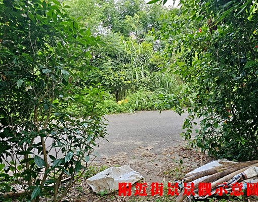 K989大柑園💖柑園臨路持分土地💖中信劉蕙蘭