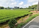 龍潭區-土地，284.9坪