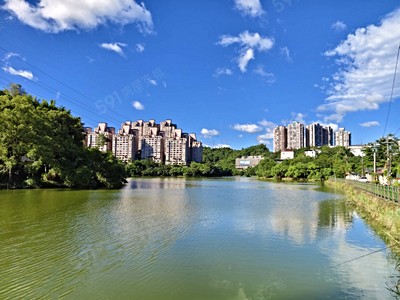 在地淳樸~湖前街*便利*鬧中取靜*4房車