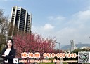 北投區-天母西路3房2廳，119.8坪