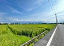 員山鄉-土地，336.5坪