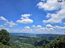 橫山無敵景觀視野農+林
