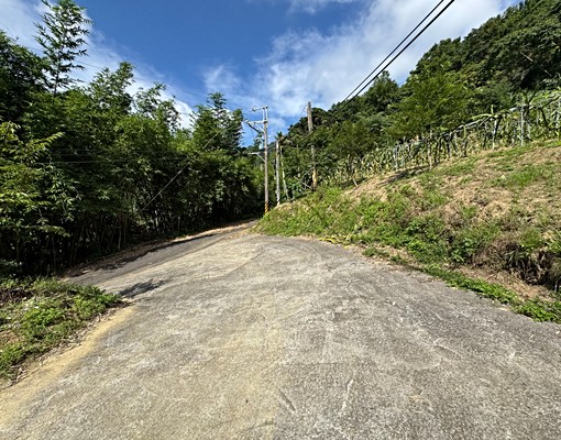 物件圖片