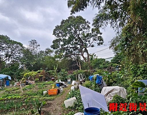 🌈🌈🌈南園持分土地